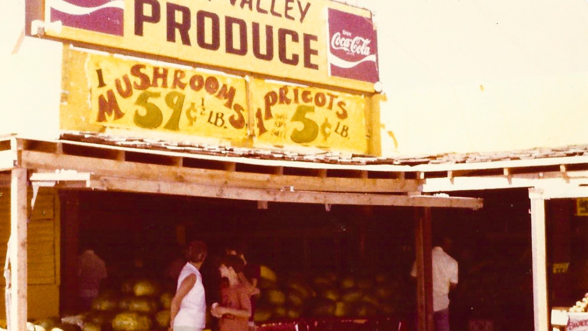 A roadside farm stand with a sign reading "produce." Two women are standing in front of a pile of watermelons, talking to each other.