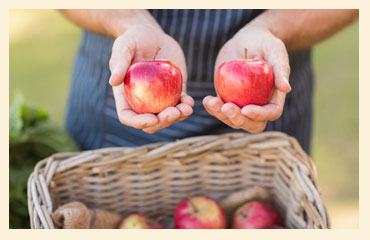 Why It's Good — apple varieties