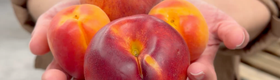 Stone Fruit Season Is Here: Here's How to Keep It Fresh