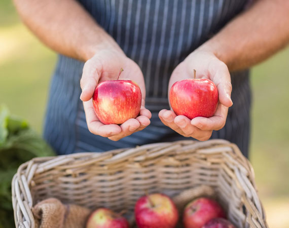 Basket of apples