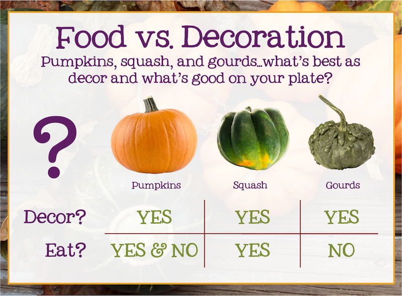 Food Vs Decor Pumpkin Squash Gourds Edition Which Of These Can You Eat Sigona S Office Deliveries,Silver Dollar Value 1881