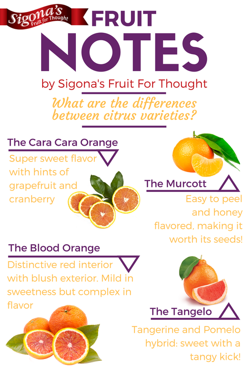 Your Guide To Citrus Infographic Sigona's Office Deliveries
