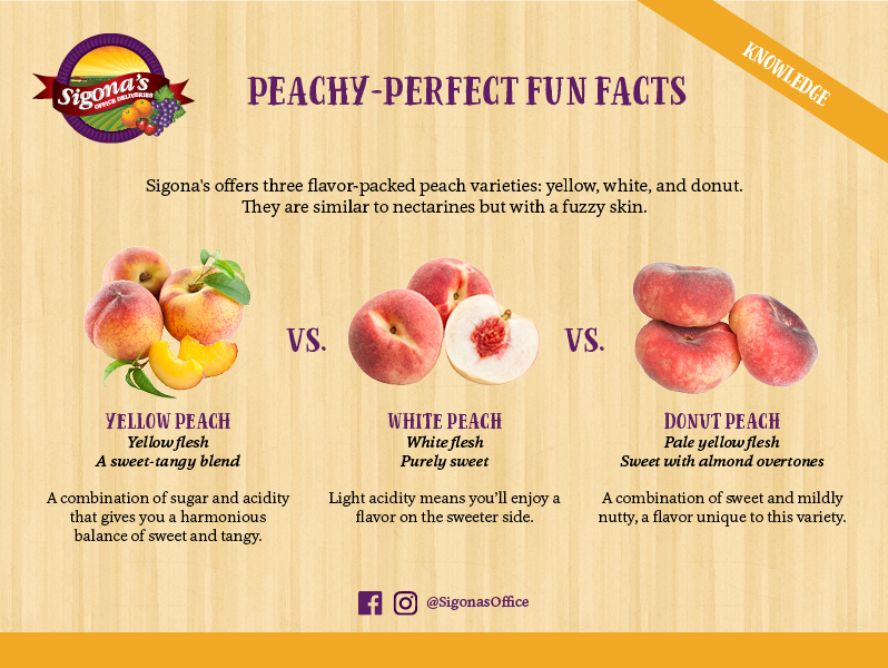 How Peaches Are Harvested and Other Peach Fun Facts - Farm Flavor