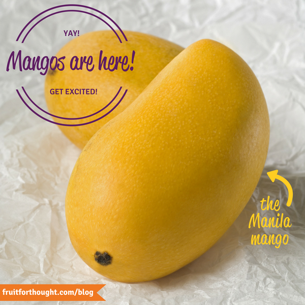 Manila Mango