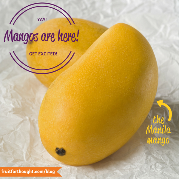 Ten Fun Mango Facts - It's Mango Season! – Ideal Wrap