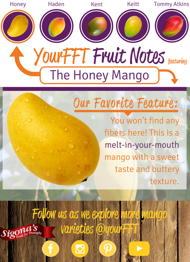 Presenting The Honey Mango Sigona's Office Deliveries