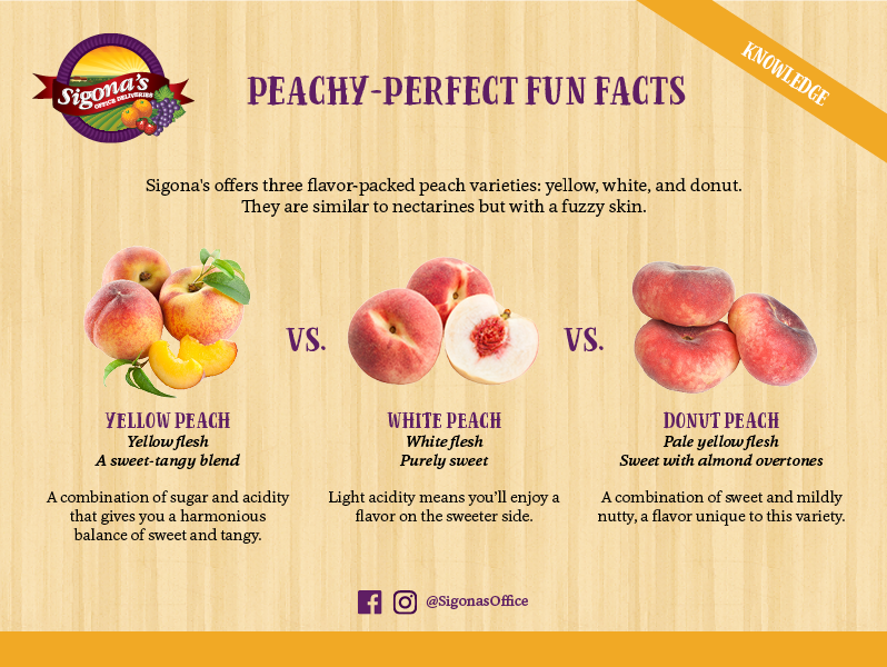 PeachyPerfect Fun Facts Sigona's Office Deliveries